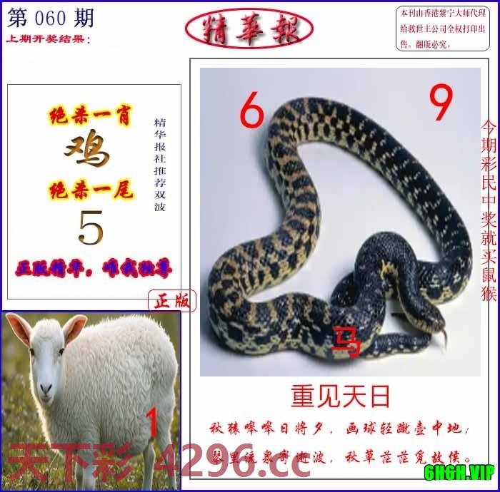 新精华报报